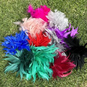 Prendedor de Plumas Grandes